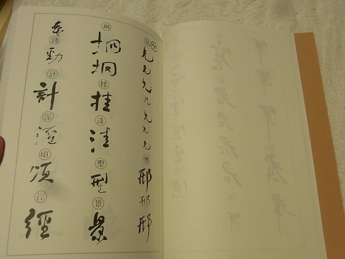 日本yahoo拍賣 樂淘letao代購代標第一品牌 A1725 何紹基書跡集中国書道日本教育書道研究会