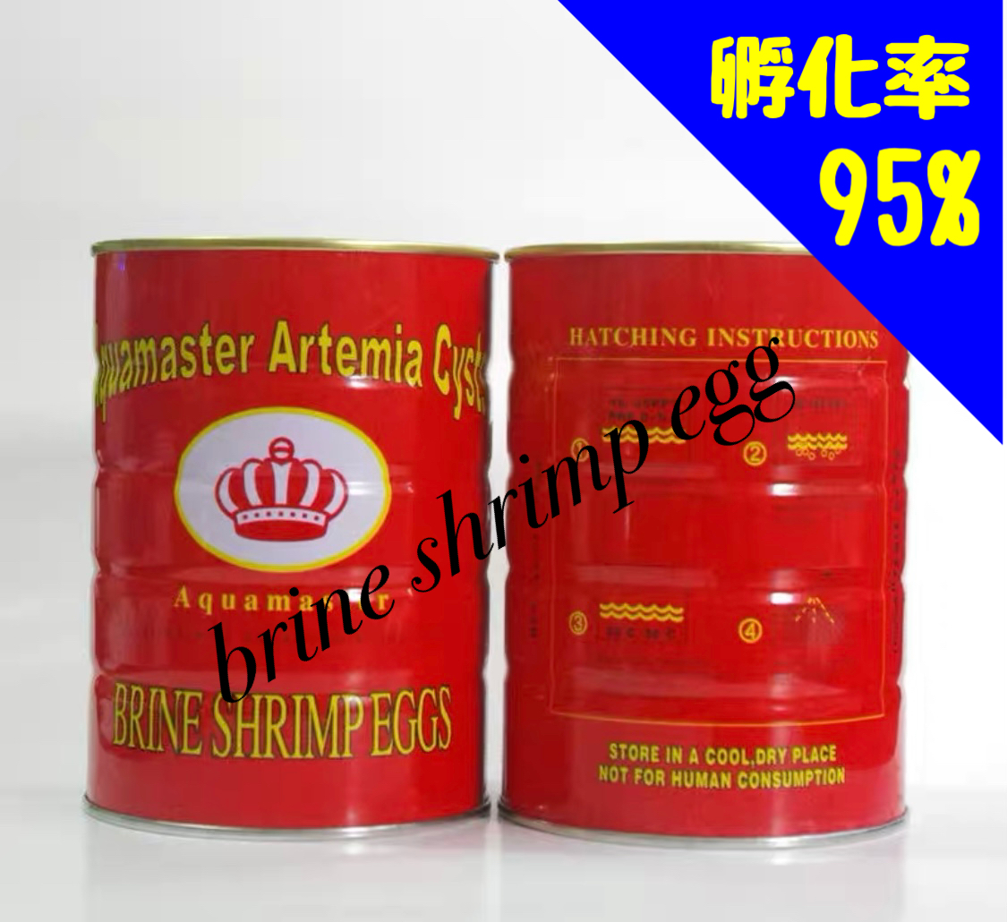 高栄養飼料メダカ餌 ライズ2号 4kg アクアリウム 熱帯魚 グッピー 高
