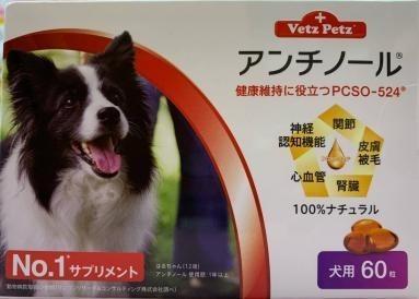 100 品質 犬用 アンチノール 1箱90粒 犬用品