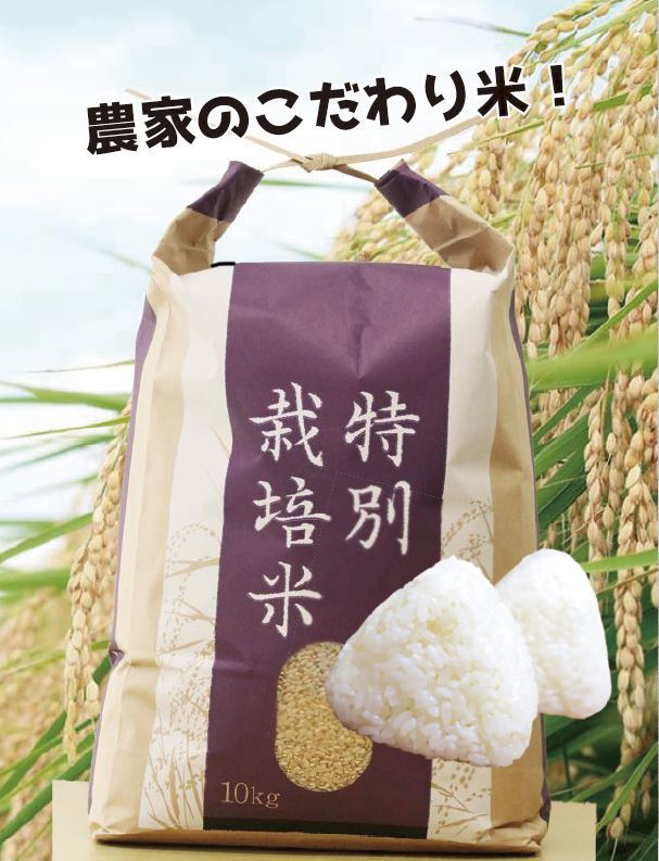 令和2年産 農家のこだわり米 　白米１０ｋｇ_1