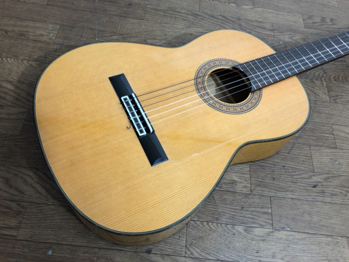 Fujigen FGN-AG1Eオール単板Anthem SL搭載エレアコ