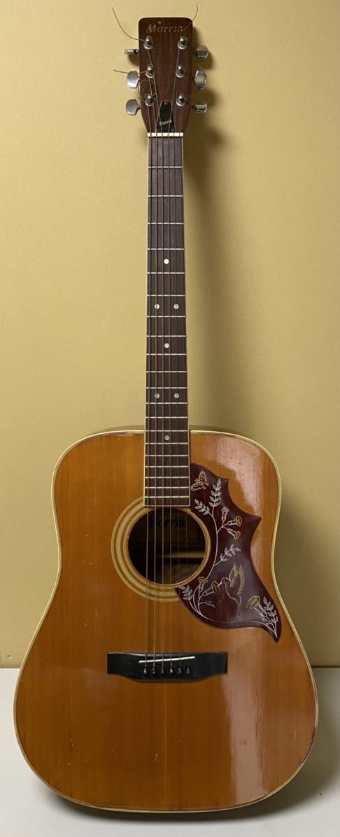 低価，新品 Morris W-20 アコースティックギター 品 横ロゴ キズ有り モーリス 鳥 花柄(モーリス)｜売買されたオークション情報、yahooの商品情報をアーカイブ公開 - オークファン 本体