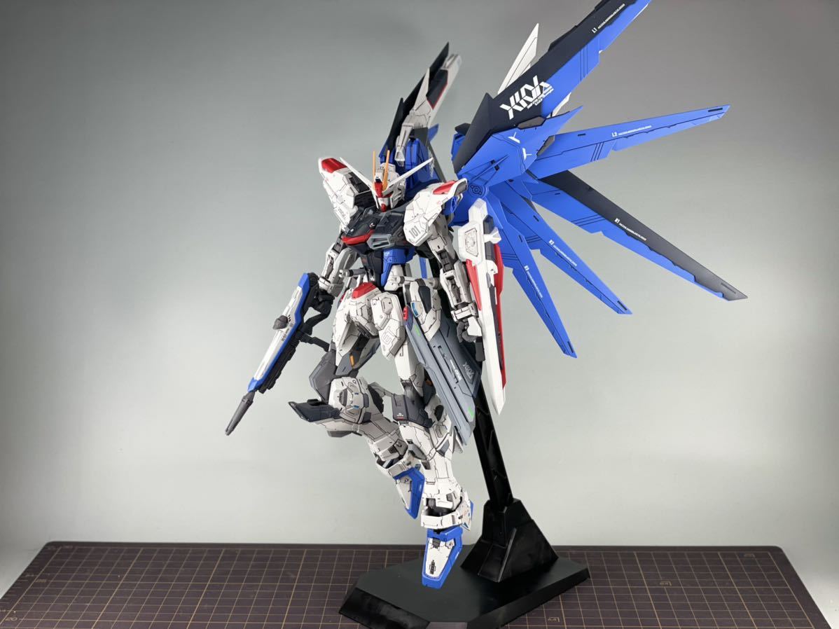MG フリーダムガンダム ver.2.0 徹底改修塗装済完成品 +拡張 xvpbvx