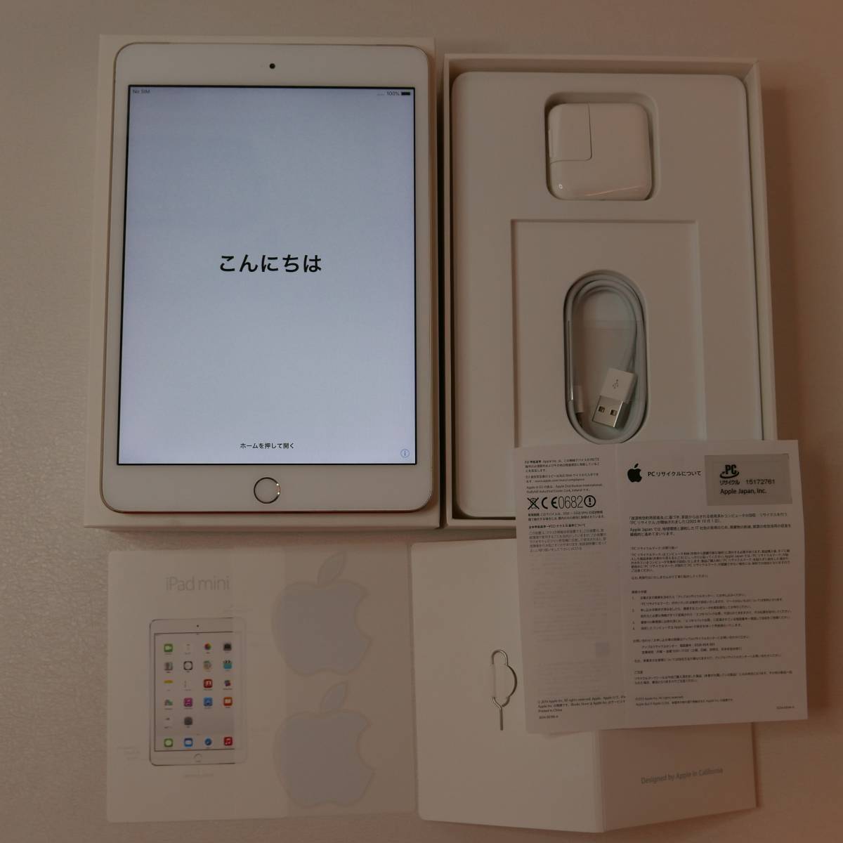 iPad docomo mini Apple 16GB Wi-Fi+Cellular mini3 - 0 Cellular 1 Wi 