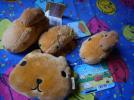 ★カピバラさん　４種類　お財布/非売品含む★_1