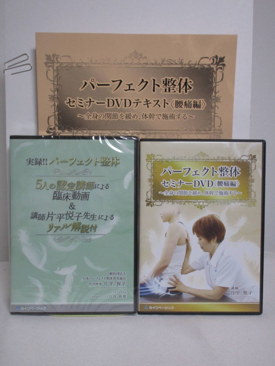 片平悦子 パーフェクト整体セミナー カイロベーシック DVD 手技DVD