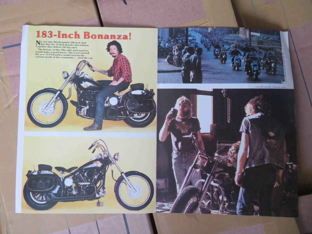 David Mann Easyriders Art Centerfold Biker Easy Motorcycle