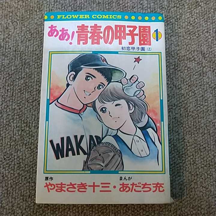 ああ 青春の甲子園 全7巻 あだち充 フラワーコミックス 小学館 やまさき十三 全巻セット 売買されたオークション情報 Yahooの商品情報をアーカイブ公開 オークファン Aucfan Com