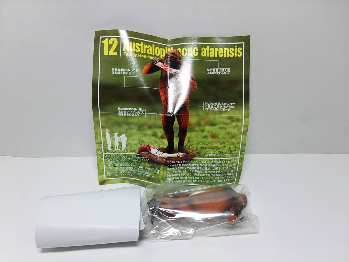 恐竜模型図鑑 海洋堂 ダイノテイルズ６ ローソン限定 アウストラロピテクス アファレンシス 生き物 売買されたオークション情報 Yahooの商品情報をアーカイブ公開 オークファン Aucfan Com