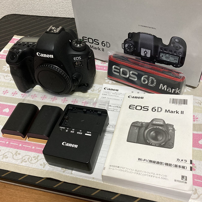 EOS 6D ボディ Canon Mark II キヤノン MarkII - CANON 美品キヤノン