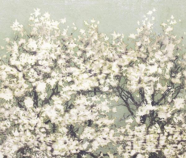 【真作】【WISH】星襄一「こぶし」木版画 1977年作 直筆サイン 「樹」木版画全作品集の表紙絵 ◆代表作　　〇樹の木版人気作家 #21102460_4