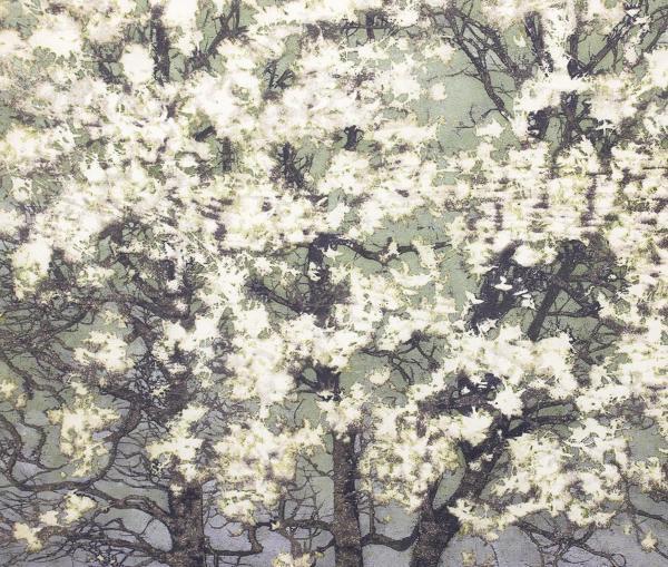 【真作】【WISH】星襄一「こぶし」木版画 1977年作 直筆サイン 「樹」木版画全作品集の表紙絵 ◆代表作　　〇樹の木版人気作家 #21102460_5