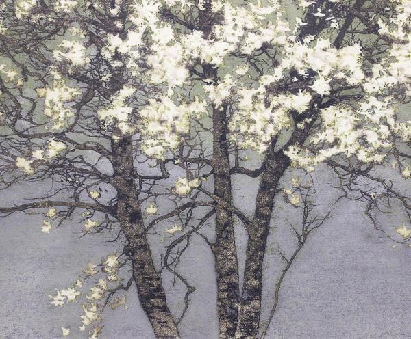 【真作】【WISH】星襄一「こぶし」木版画 1977年作 直筆サイン 「樹」木版画全作品集の表紙絵 ◆代表作　　〇樹の木版人気作家 #21102460_6