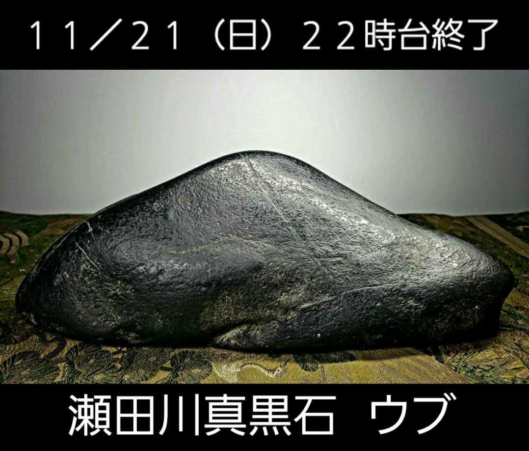 信濃美術石博物館】水石 盆栽 骨董 瀬田川真黒石 ウブ 横27×高10(cm