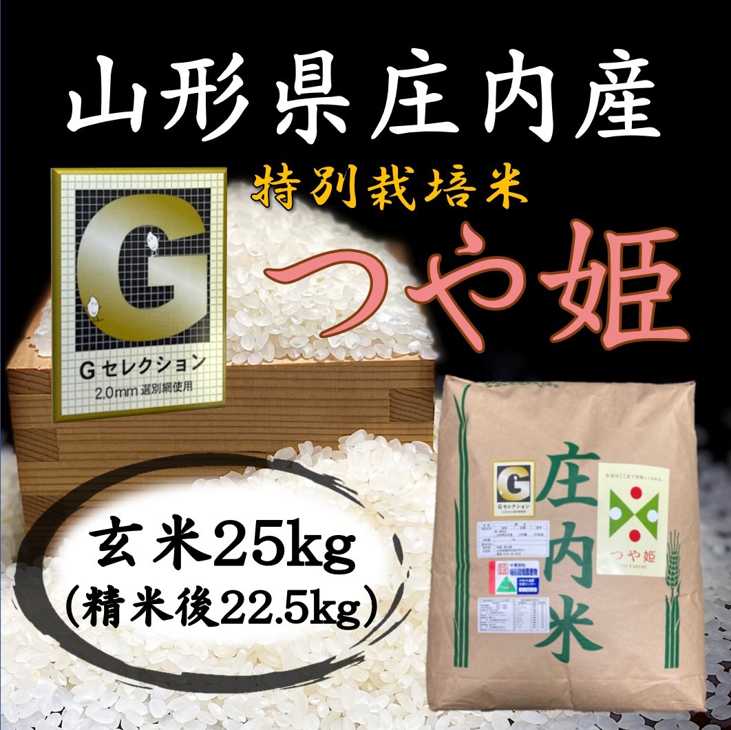 新米 令和3年度米/石川県能登産こしひかり/精米20kg 世界農業遺産 新米 令和3年度米/石川県能登産こしひかり/精米20kg 世界農業遺産