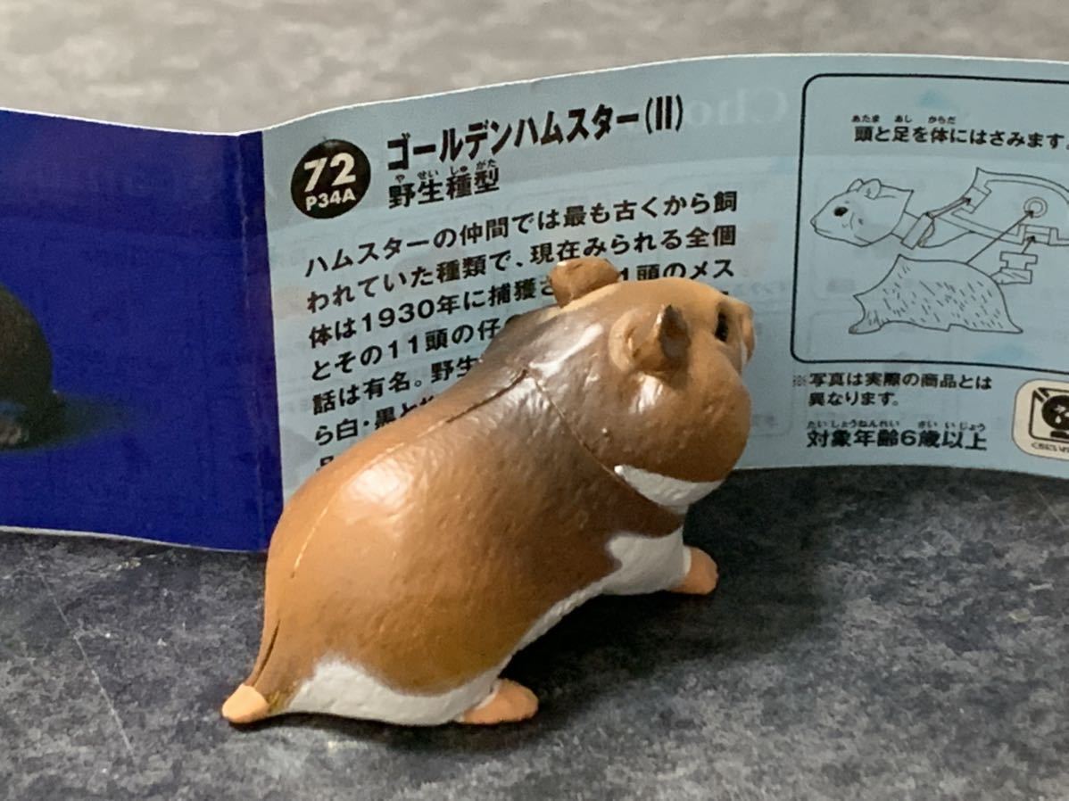チョコq ペット動物第3弾 ゴールデンハムスター 野生種型 ペット動物コレクション 売買されたオークション情報 Yahooの商品情報をアーカイブ公開 オークファン Aucfan Com