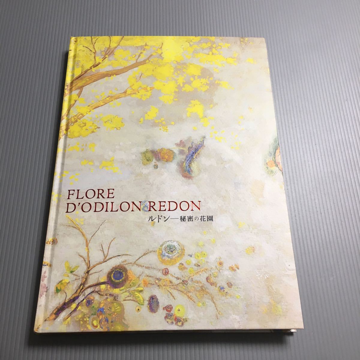 激安オンラインショッピング 新品同様 図録 ルドン 秘密の花園 Flore D Odilon Redon 1245a5b6 仕入元直送品 Www Cfscr Com