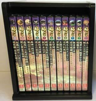 極める DVD全11巻(中古品)
