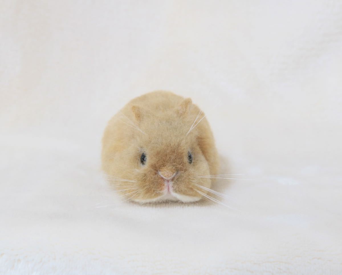 羊毛フェルト うさぎ 子うさぎ ハンドメイド ネザーランドドワーフ オレンジ 羊毛フェルト 売買されたオークション情報 Yahooの商品情報をアーカイブ公開 オークファン Aucfan Com