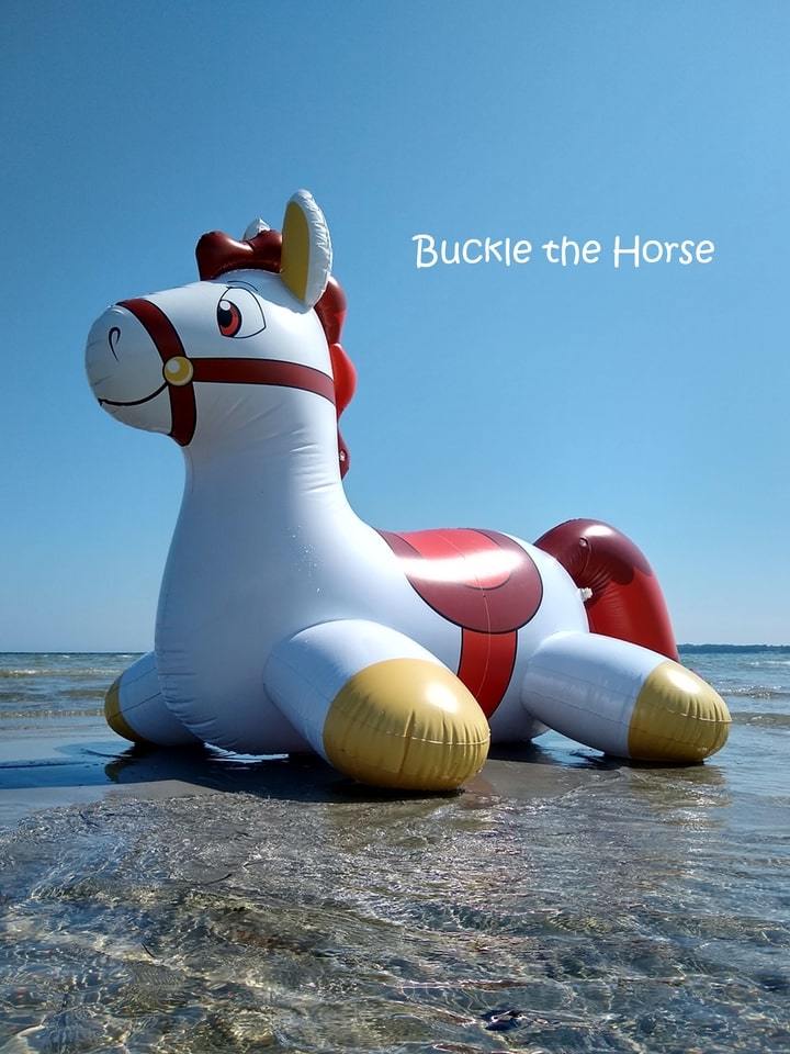 ☆Horseplay社製 Buckle The Horse 空気ビニール風船 空ビ フロート