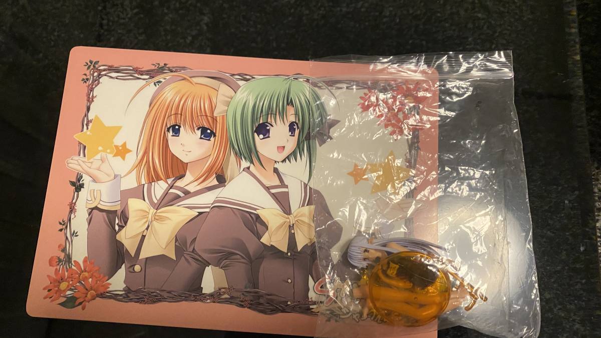 電撃姫 まるごとNavelスペシャル 楓＆亜沙等身大シーツ コンプティーク  