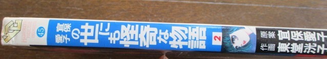 希少 宜保愛子の世にも怪奇な物語2 宜保愛子 画:東堂みつこ ホラー  