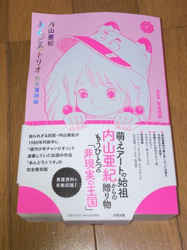 内山亜紀 あんどろトリオ 完全復刻版(青年)｜売買されたオークション