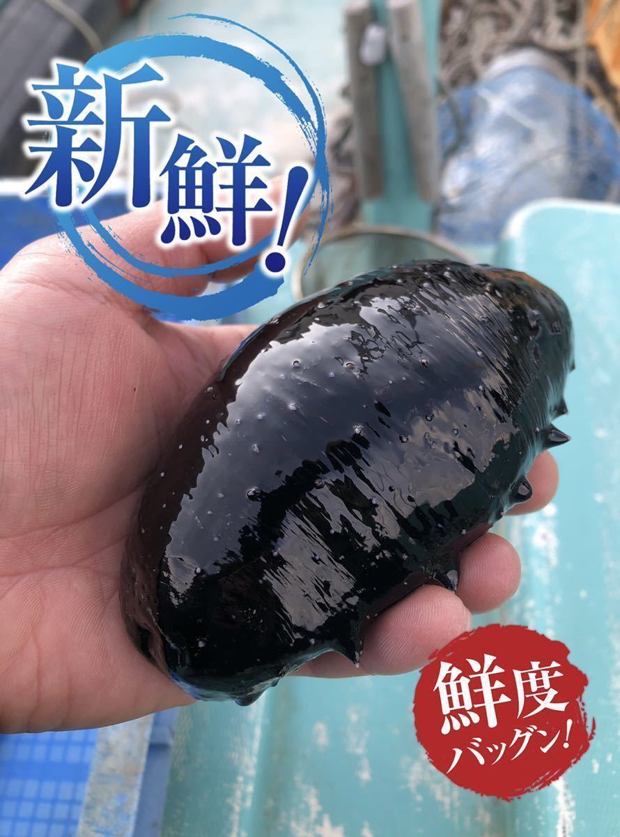 黒ナマコ ナマコ なまこ 1kg 魚介類 売買されたオークション情報 Yahooの商品情報をアーカイブ公開 オークファン Aucfan Com