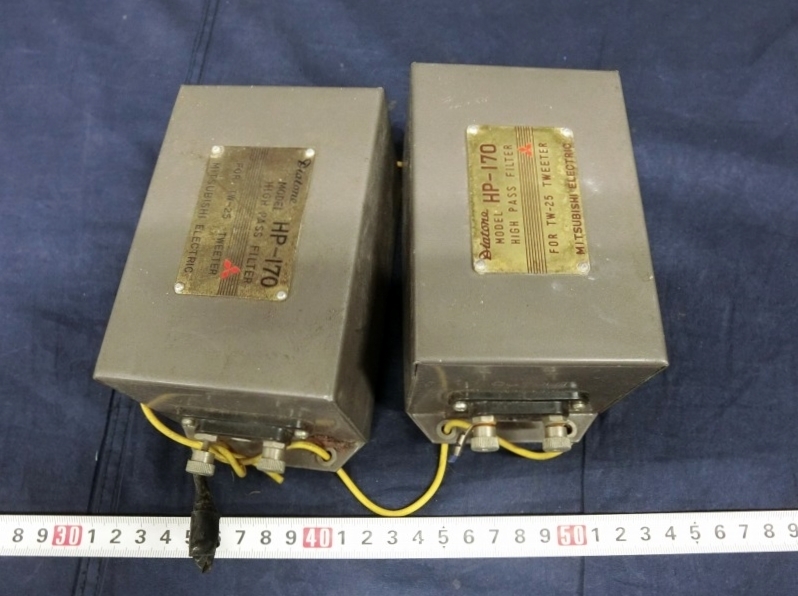 s1032396980.1