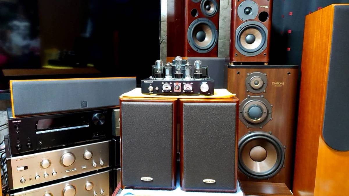 D-202AX ONKYO LTD 名機スピーカーONKYO - Onkyo D-202AXLTD 
