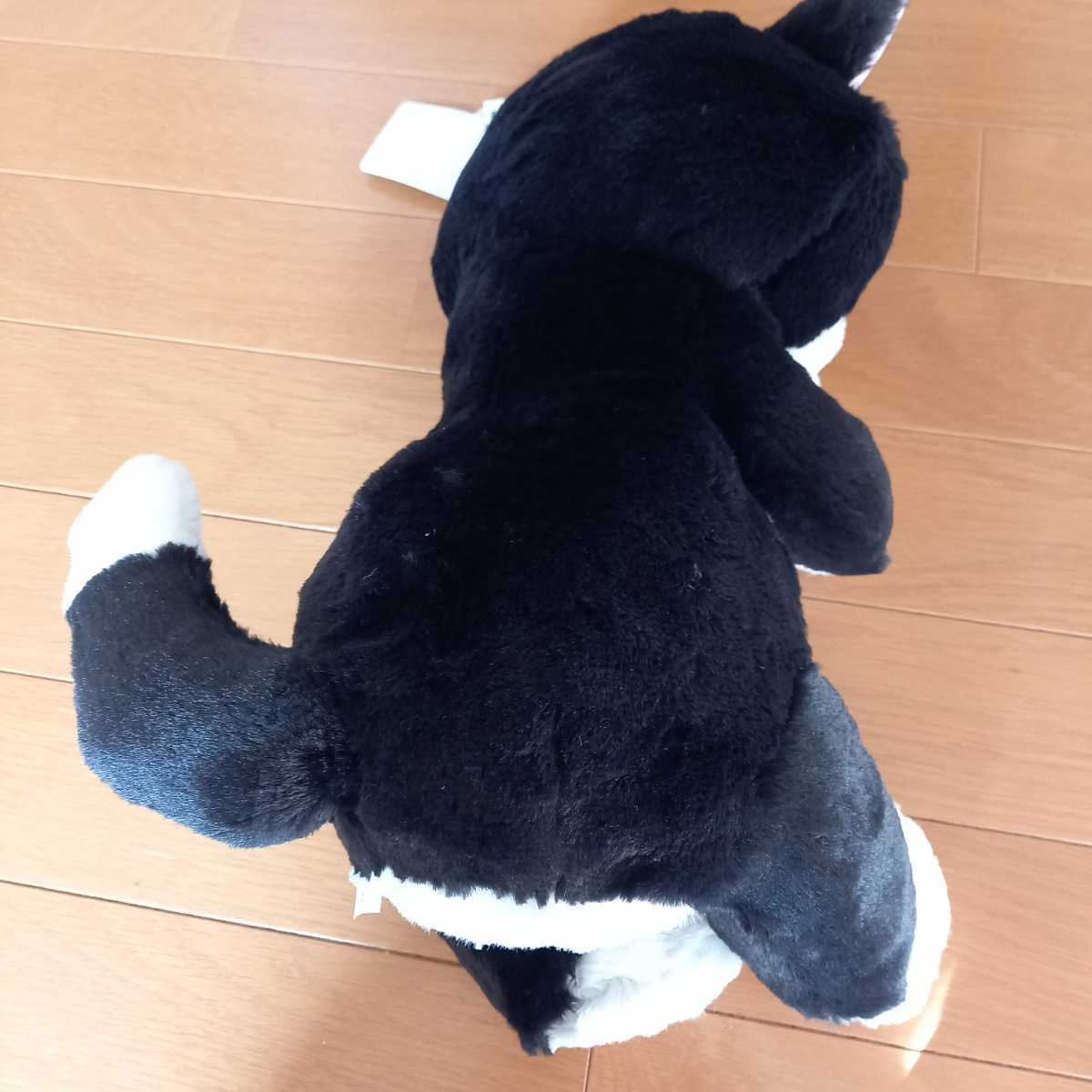 ディズニー フィガロ ぬいぐるみ ねこ 猫 ピノキオ おしゃれキャット 売買されたオークション情報 Yahooの商品情報をアーカイブ公開 オークファン Aucfan Com ディズニー フィガロ ぬいぐるみ ねこ 猫 ピノキオ おしゃれキャット 売買されたオークション情報 Yahooの商品情報をアーカイブ公開 オークファン Aucfan Com