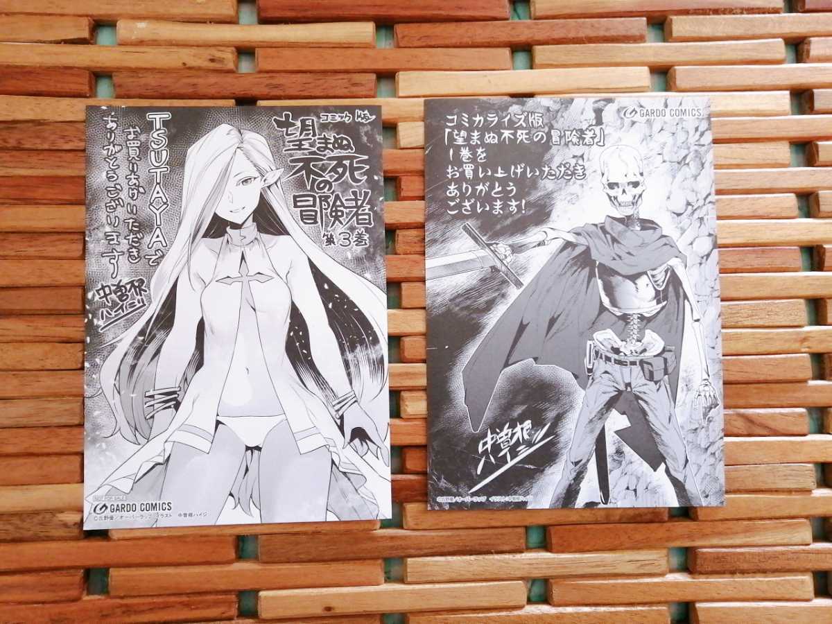 非売品〜「望まぬ不死の冒険者」特典イラストカード ペーパー2枚セット 