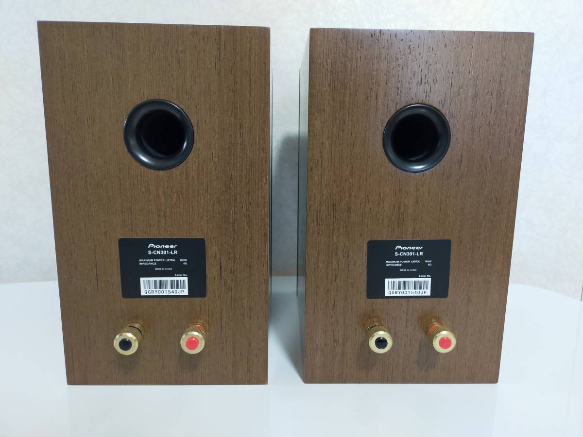 S-CN301-LR パイオニア Pioneer 2ウェイスピーカーシステム 普段より数 