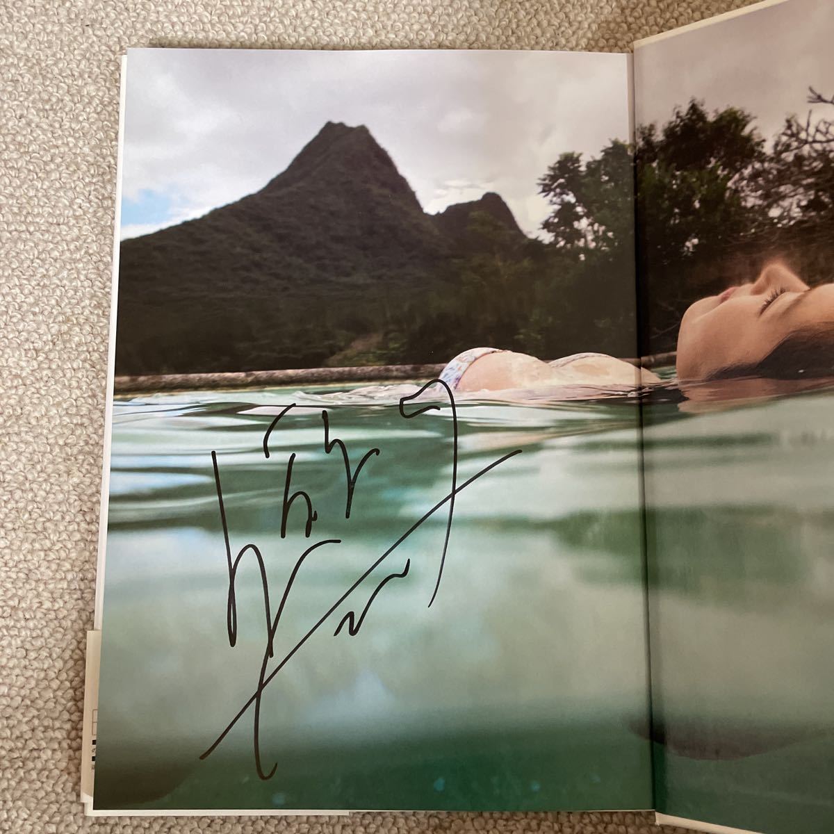 サイン本 Fの旋律 笛木優子 写真集 DVD付きの入札履歴 - 入札者の順位