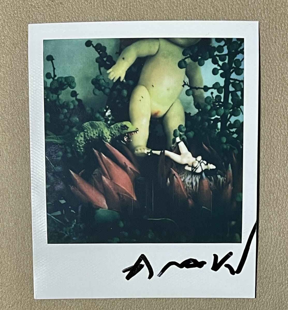 アラーキー直筆サイン入りポラロイド写真 荒木経惟 ポラロイド 直筆サイン入 アラーキー Nobuyoshi Araki