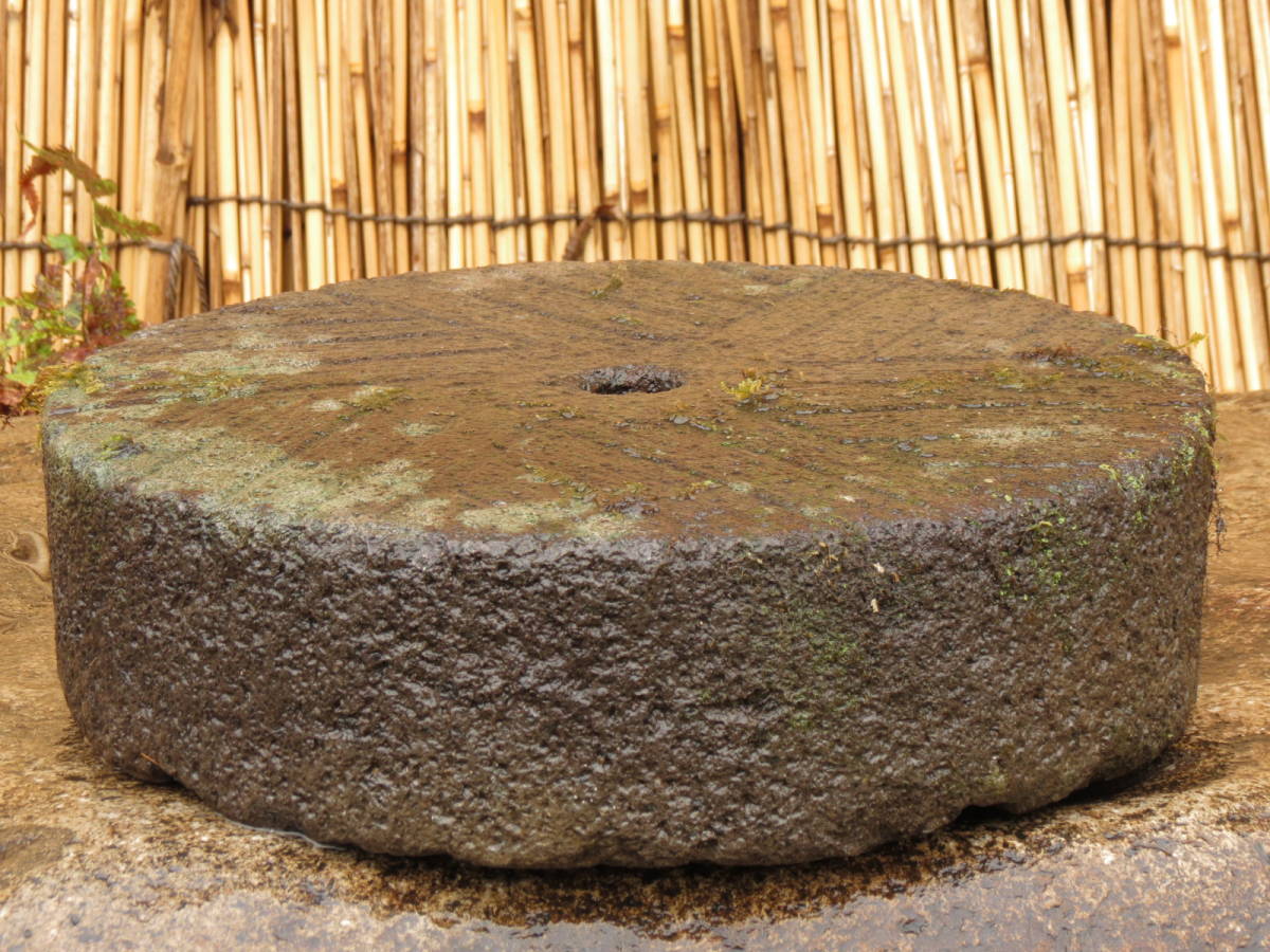 敷石 直径39 3 重量29 5 飛石 庭石 天然石 Www Amrapalihotel Com