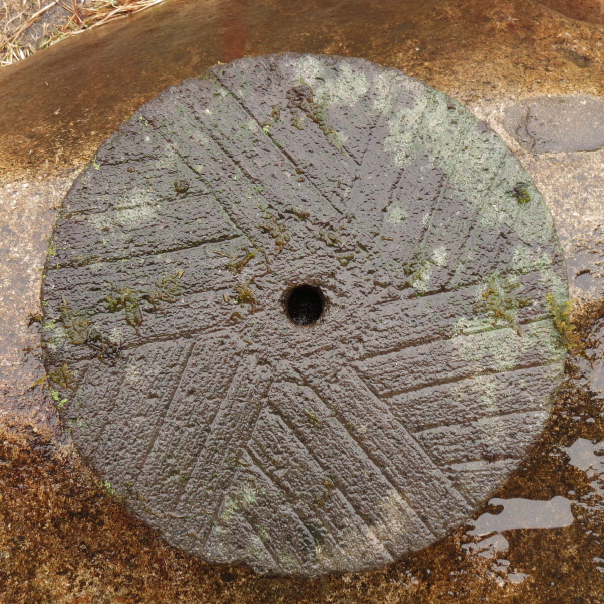 敷石 直径39 3 重量29 5 飛石 庭石 天然石 Www Amrapalihotel Com