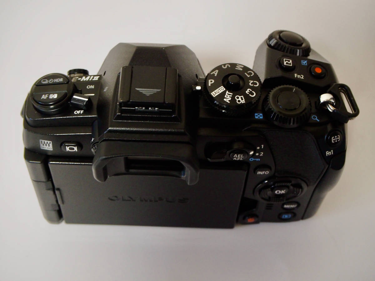 オリンパス OLYMPUS OM-D E-M1 markⅡボディ（おまけ付き）_4