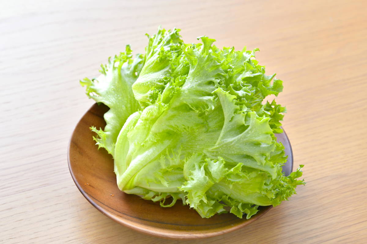 お試し フリルレタス 5袋入り 無農薬 屋内農園 水耕栽培 朝獲り サラダ レタス 売買されたオークション情報 Yahooの商品情報をアーカイブ公開 オークファン Aucfan Com