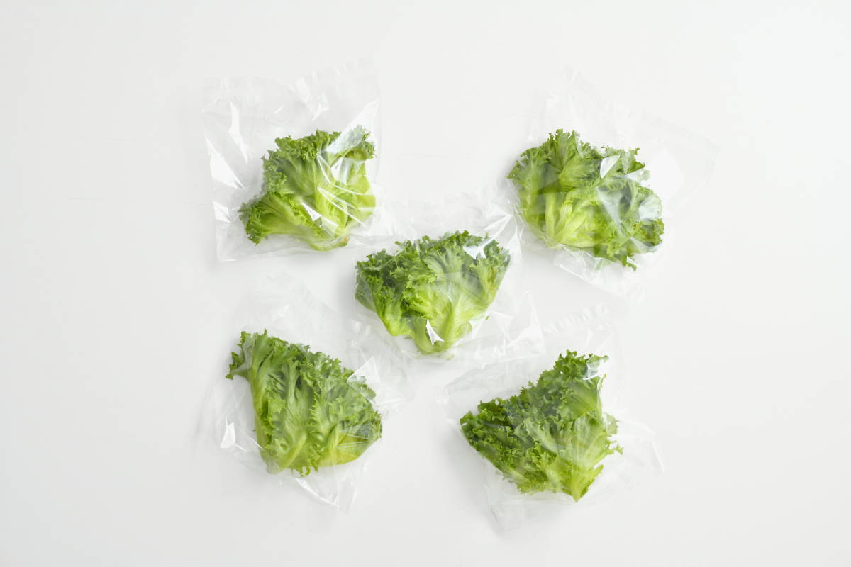 お試し フリルレタス 5袋入り 無農薬 屋内農園 水耕栽培 朝獲り サラダ レタス 売買されたオークション情報 Yahooの商品情報をアーカイブ公開 オークファン Aucfan Com