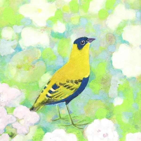 「鶉」　野々内良樹　絵画　日本画　金落款　うずら　花鳥画巨匠　黄色袋 共シール 真作】【WISH】野々内良樹 日本画 花鳥図 〇日展会員 師:西山英雄 父