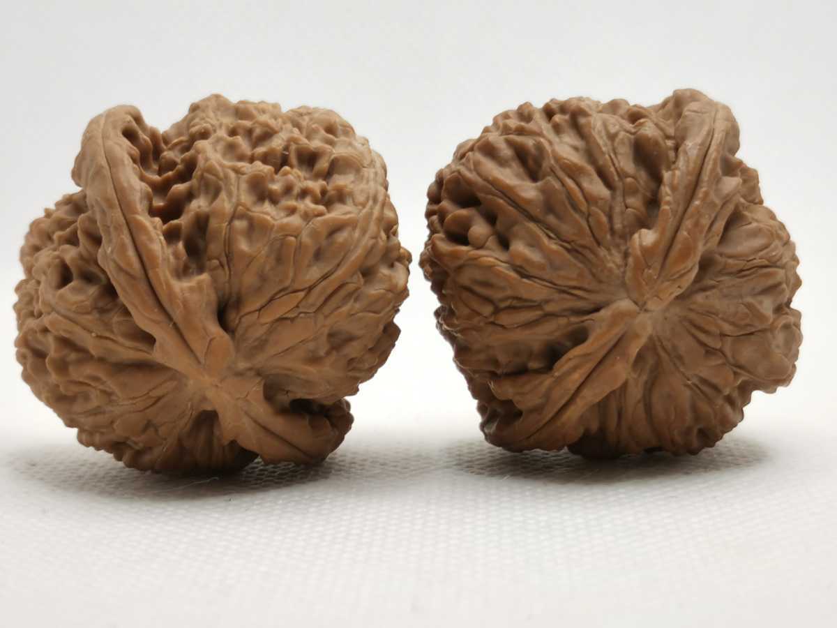 文玩核桃 白獅子 38mm_3