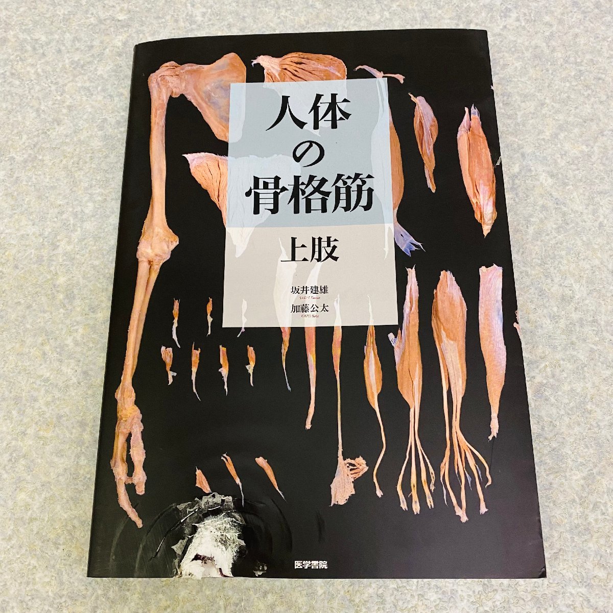 格安，2026 人体の骨格筋 上肢 坂井建雄 加藤公太 43AY058(医学一般)｜売買されたオークション情報、yahooの商品情報をアーカイブ公開 - オークファン 医学一般