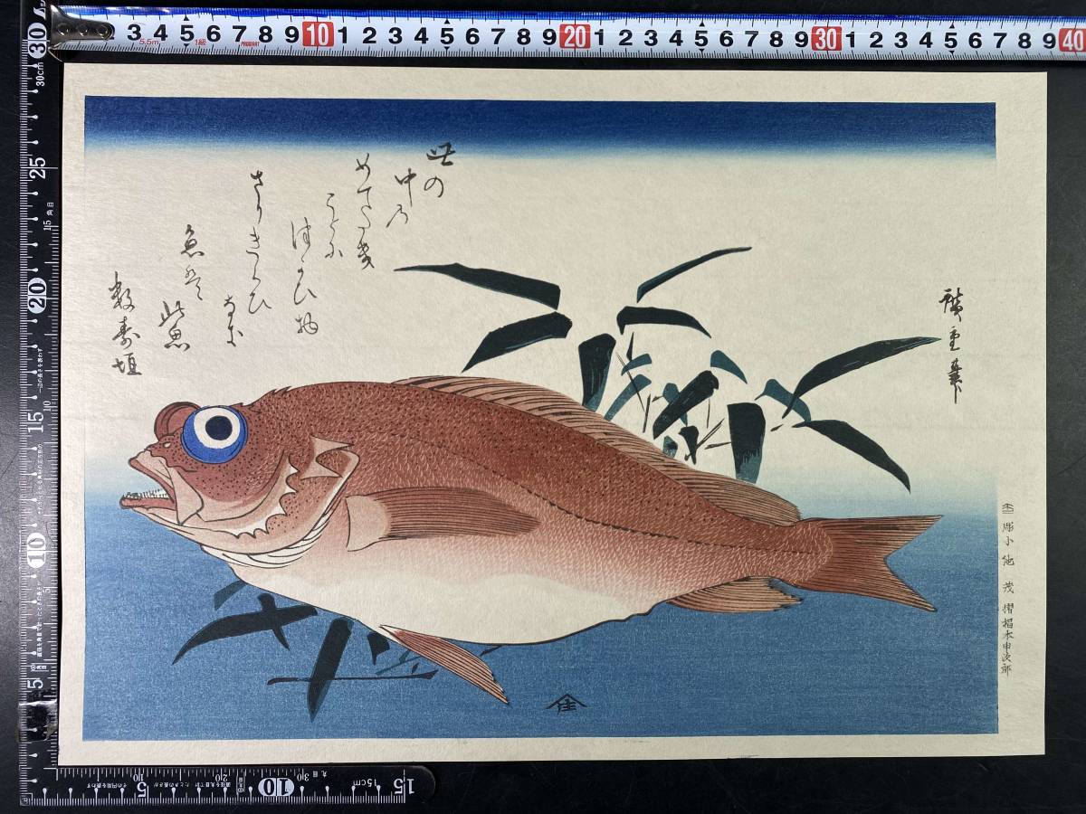 4＃HRI/M805 浮世絵木版画 初代歌川広重作 魚づくし 一立斎廣重