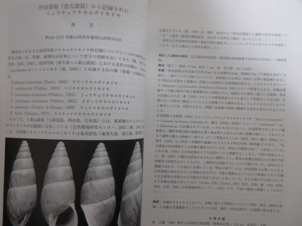和 ちりぼたん Vol 38 No 1 4 貝類学 リュウキュウキセルガイモドキ カタマイマイ カタツムリ 陸貝 ヒレギレイカ レーダーキヌヅツミ 生物学 売買されたオークション情報 Yahooの商品情報をアーカイブ公開 オークファン Aucfan Com
