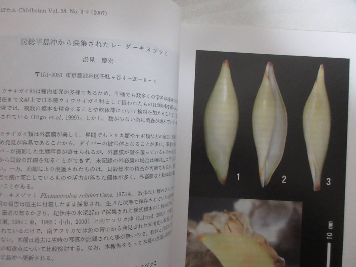 和 ちりぼたん Vol 38 No 1 4 貝類学 リュウキュウキセルガイモドキ カタマイマイ カタツムリ 陸貝 ヒレギレイカ レーダーキヌヅツミ 生物学 売買されたオークション情報 Yahooの商品情報をアーカイブ公開 オークファン Aucfan Com