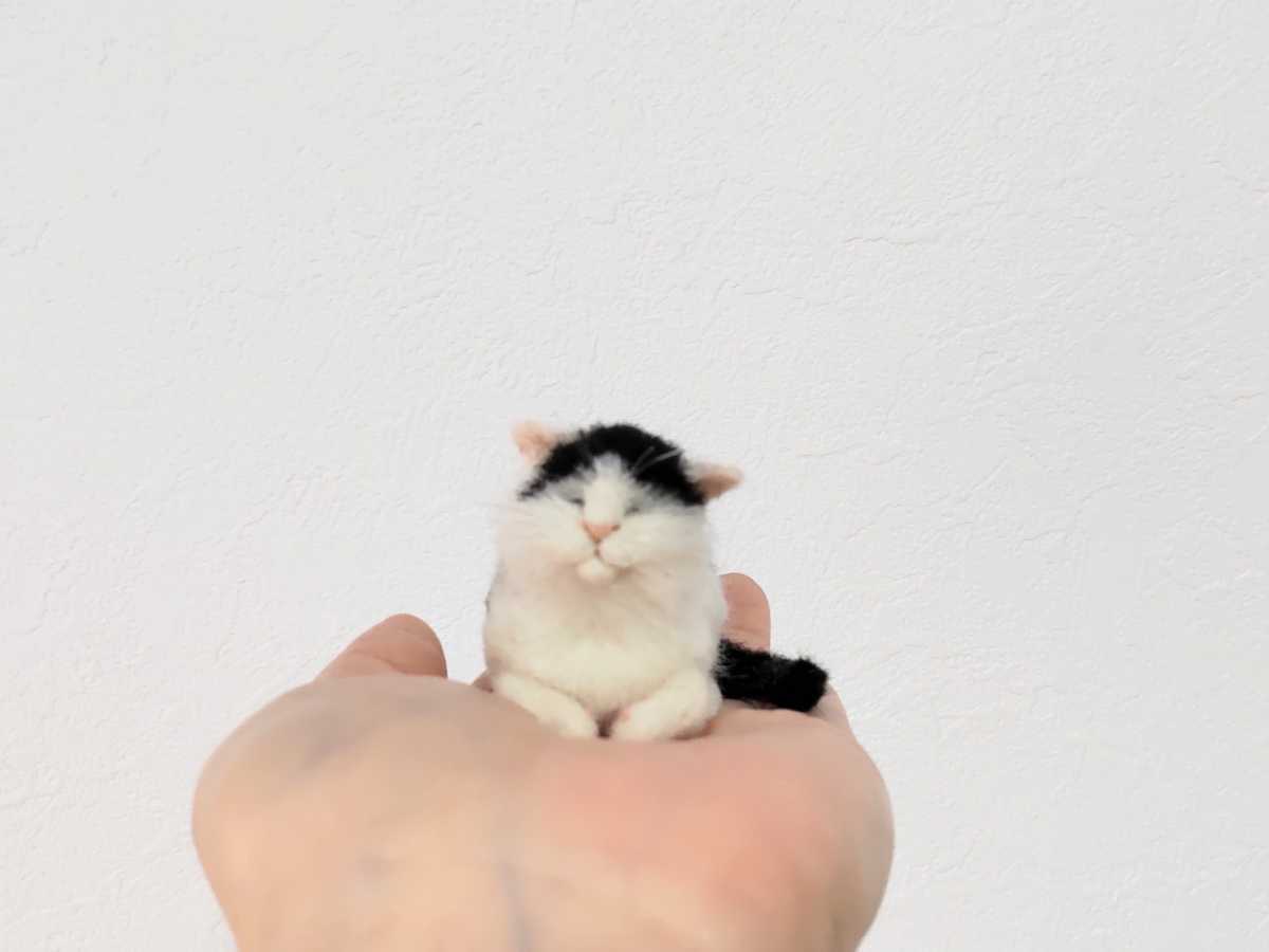 LocoMocoNeco 羊毛フェルト 猫 スコティッシュフォールドの子猫 ＊obu