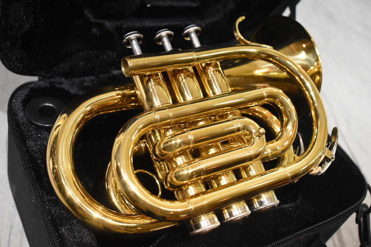 USA 美品 調整済み SELMER 木製オーボエ 122F グラナディラ | Selmer