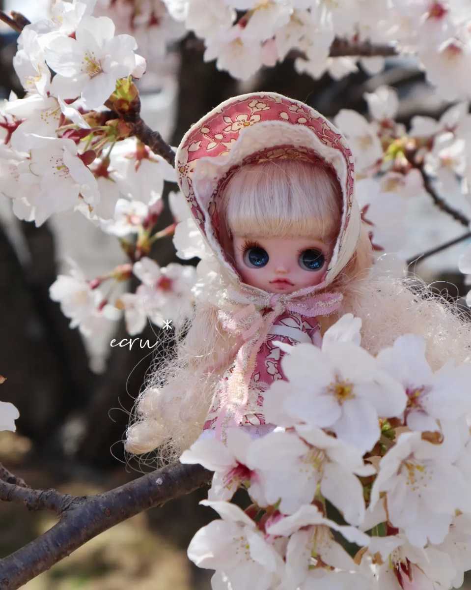 プチブライスカスタ厶 専用ページ カスタムプチブライスのフリマアイテム一覧 プチブライス - カスタム