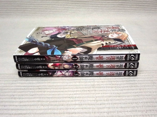 境界迷宮と異界の魔術師の値段と価格推移は 38件の売買情報を集計した境界迷宮と異界の魔術師の価格や価値の推移データを公開